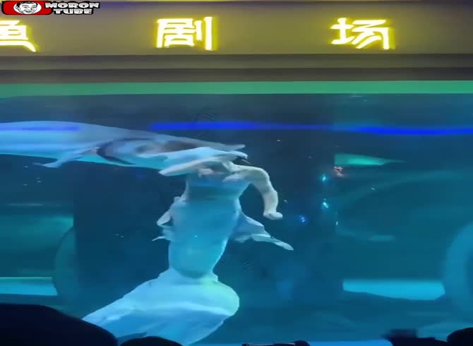 Video :An animator in a mermaid costume is attempted to be swallowed by a gigantic sturgeon